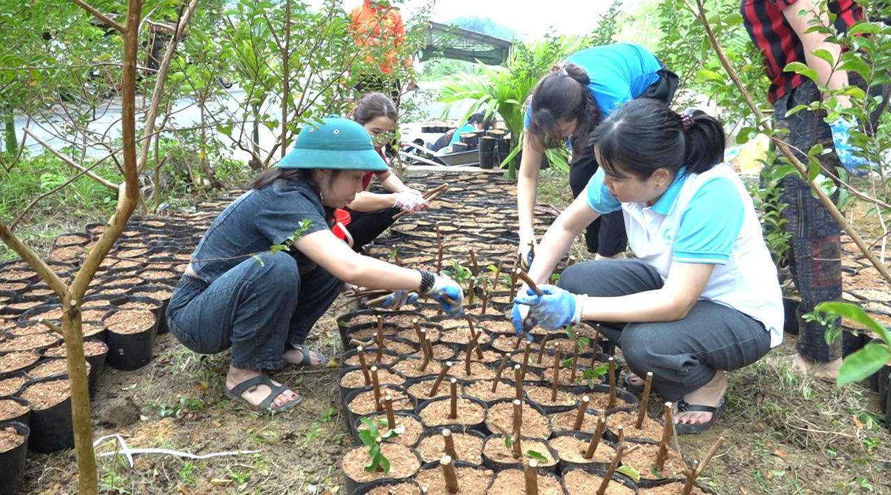 Toàn xã hiện có 71 cơ sở sản xuất và chế biến nông - lâm sản quy mô vừa và nhỏ, tạo việc làm ổn định cho hàng trăm lao động địa phương.