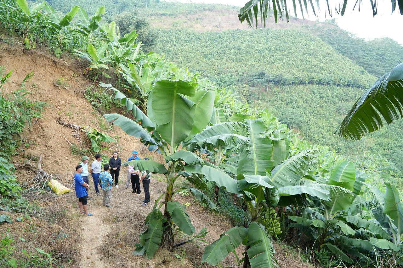 Nông nghiệp địa phương được tái cơ cấu theo hướng hàng hóa, hữu cơ và ứng dụng công nghệ cao, tận dụng lợi thế về đất đai và khí hậu để hình thành các vùng sản xuất tập trung, nâng cao giá trị và thu nhập cho người dân.