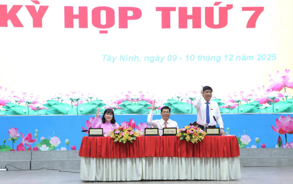 Các&nbsp;đồng chủ trì kỳ họp biểu quyết thông qua các nghị quyết.