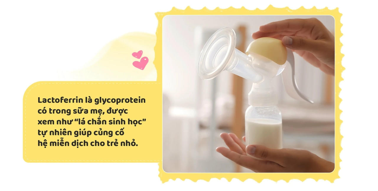 Lactoferrin và bước tiến mới trong dinh dưỡng đề kháng