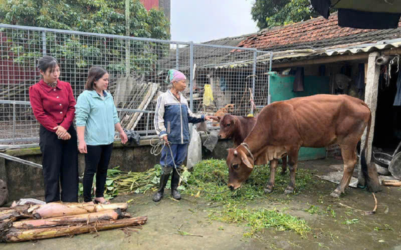 Cán bộ tín dụng NHCSXH tỉnh Ninh Bình tận tình , tận tâm hướng dẫn người nghèo sử dụng vốn vay đúng mục đích , đạt hiệu quả trong sản xuất kinh doanh.