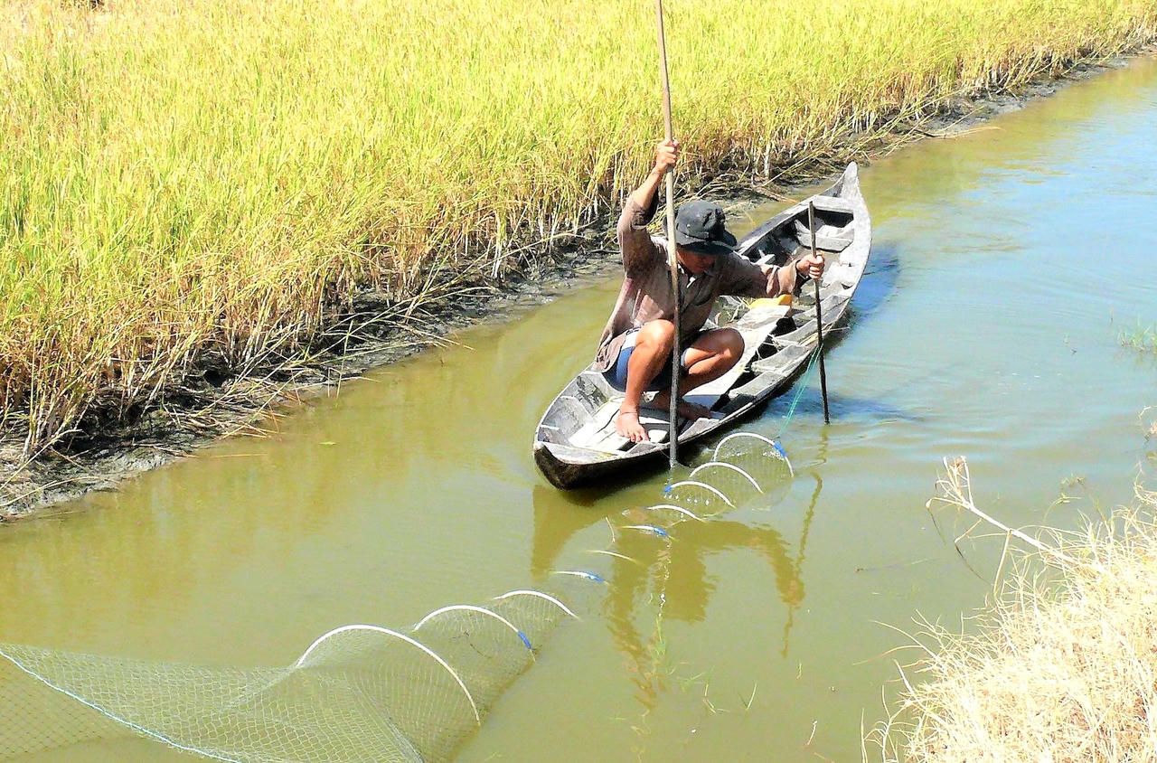 Cà Mau đang chịu sức ép rất lớn từ biến đổi khí hậu, đòi hỏi địa phương phải chủ động thích ứng, chuyển đổi sinh kế bền vững và thân thiện môi trường.