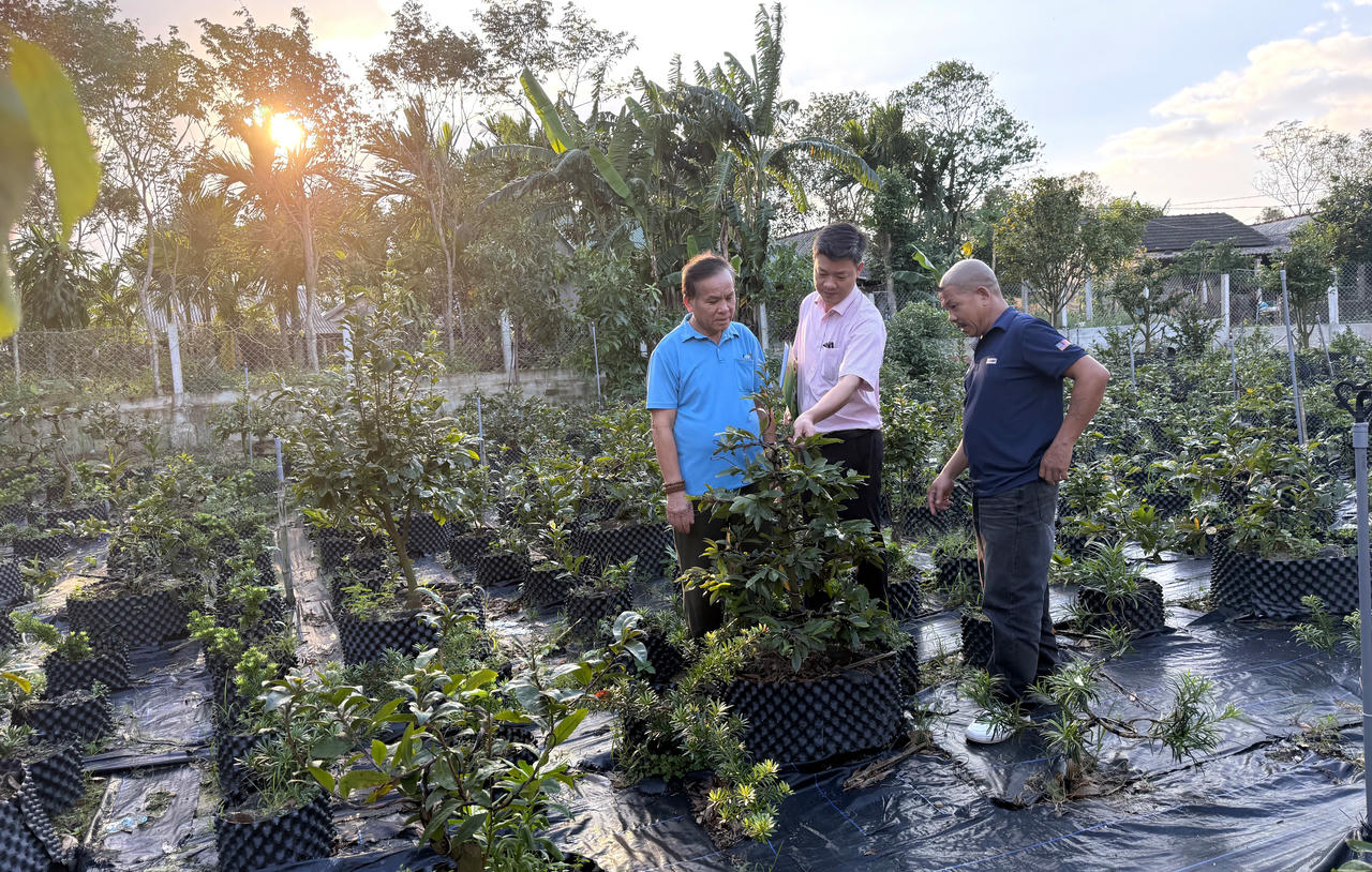 Nhiều hộ gia đình trên địa bàn TP Huế đã được tiếp cận nguồn vốn vay ưu đãi từ NHCSXH để phát triển kinh tế.