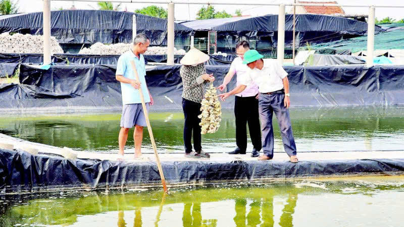 Cán bộ tín dụng NHCSXH tỉnh Ninh Bình tận tình , tận tâm hướng dẫn người nghèo sử dụng vốn vay đúng mục đích , đạt hiệu quả trong sản xuất kinh doanh.