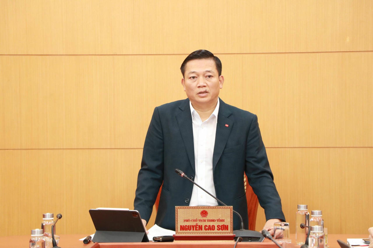 Ông Nguyễn Cao Sơn - Phó Chủ tịch UBND tỉnh Ninh Bình phát biểu tại hội nghị.