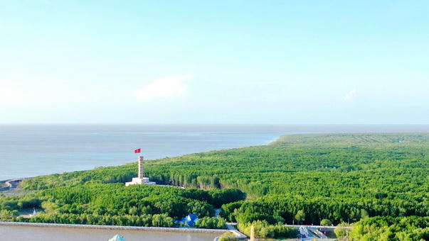 Giữ vững “lá chắn xanh” ven biển trước biến đổi khí hậu