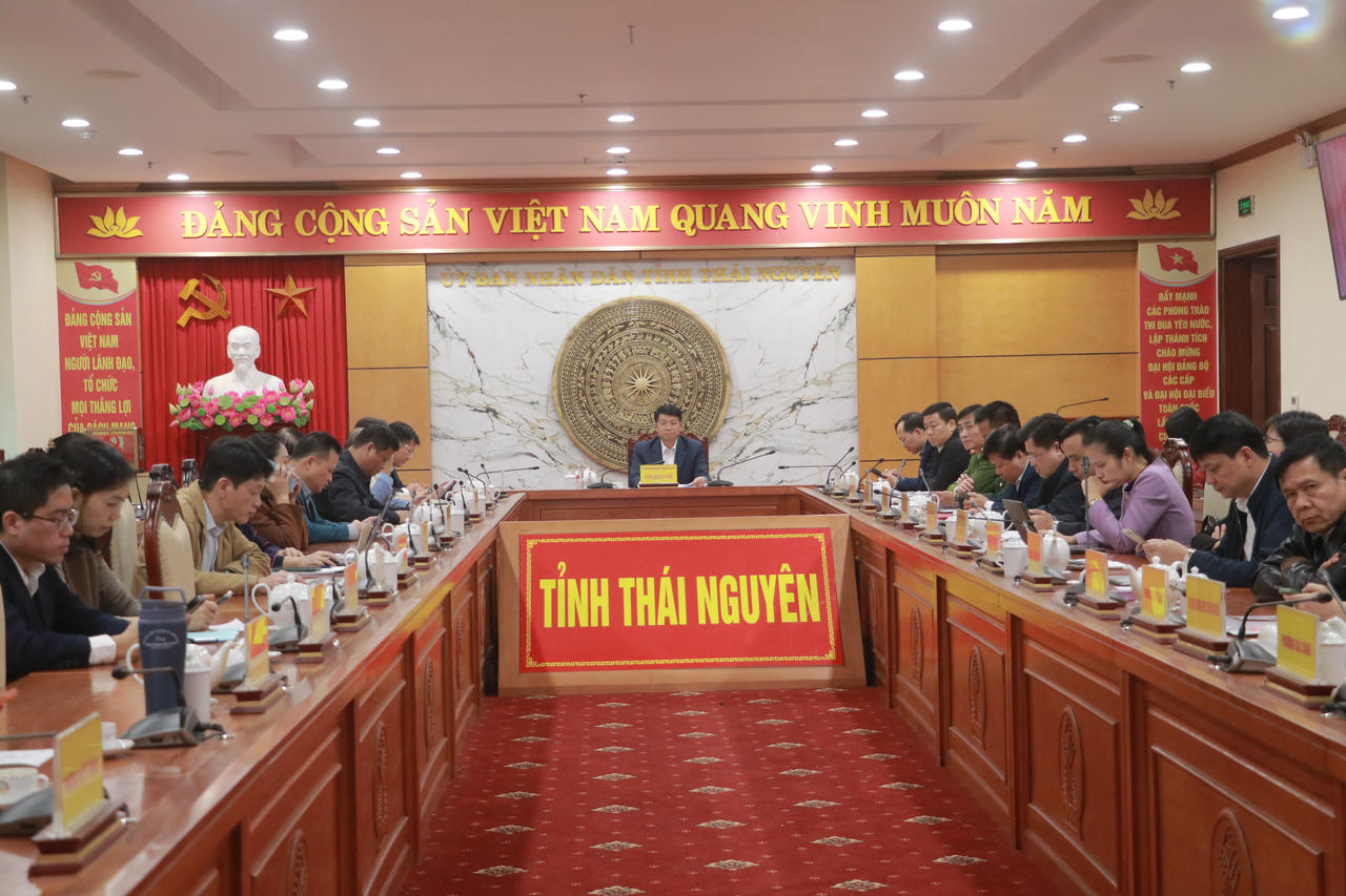 Các đại biểu tại điểm cầu Thái Nguyên.