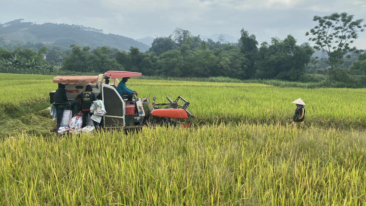 Đời sống người dân nông thôn ngày một được cải thiện. (Ảnh: Thanh Bình)
