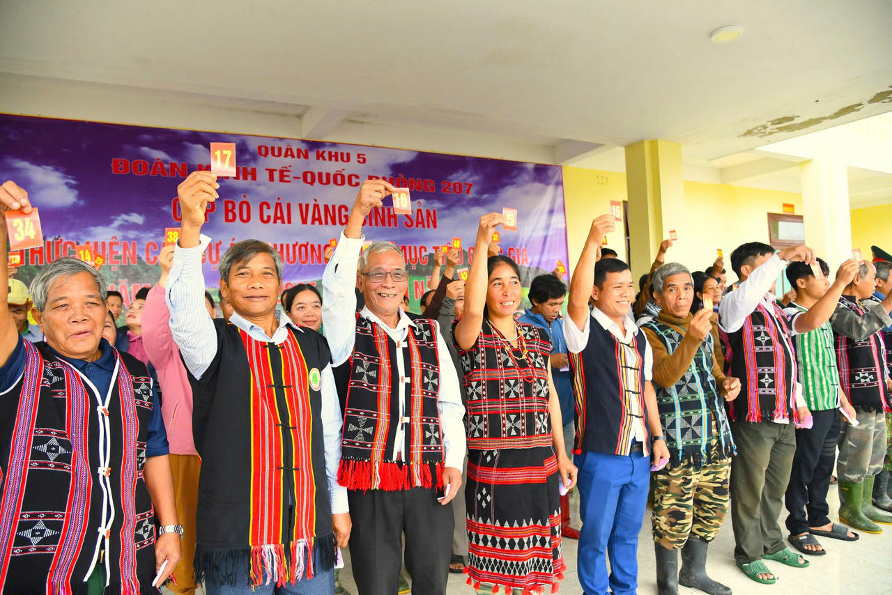 Ban Tổ chức đã tiến hành bốc thăm công khai, minh bạch để trao 200 con bò cái vàng sinh sản cho 100 hộ dân, mỗi hộ nhận 2 con.  