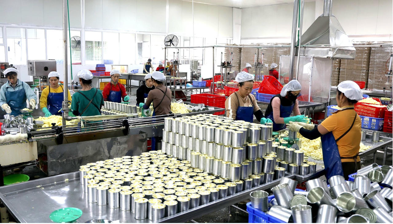 Dây chuyền sản xuất dứa hiện đại tại&nbsp;Công ty Thực phẩm Á Châu tại xã Bản Lầu. (Ảnh: Đức Lân)