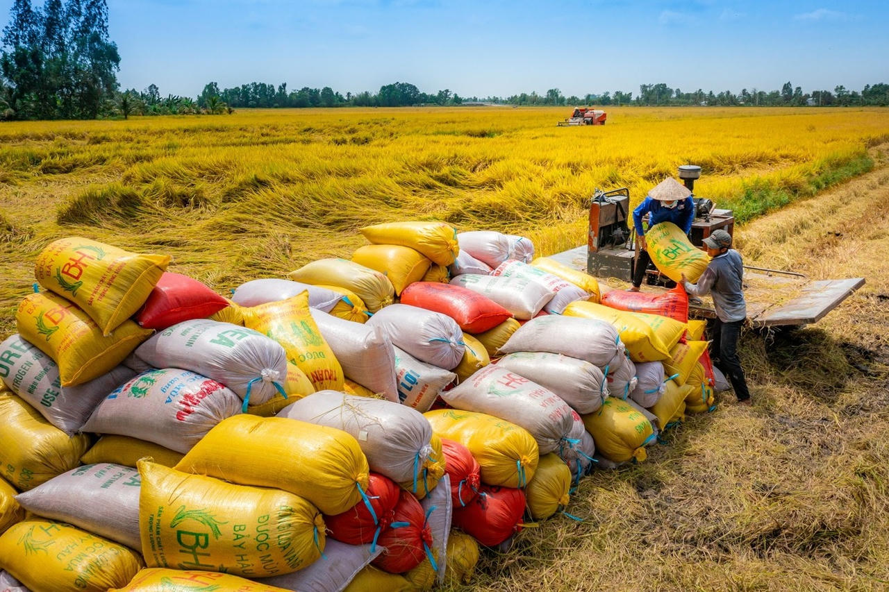 Bộ Nông nghiệp và Môi trường: Mời gọi doanh nghiệp Nhật Bản đầu tư vào lĩnh vực nông nghiệp 