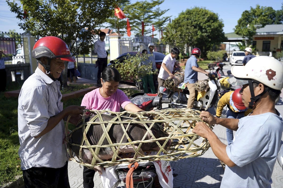 Tặng lợn giống cho người nghèo, nhằm tạo sinh kế giúp người dân vươn lên thoát nghèo, ổn định cuộc sống.