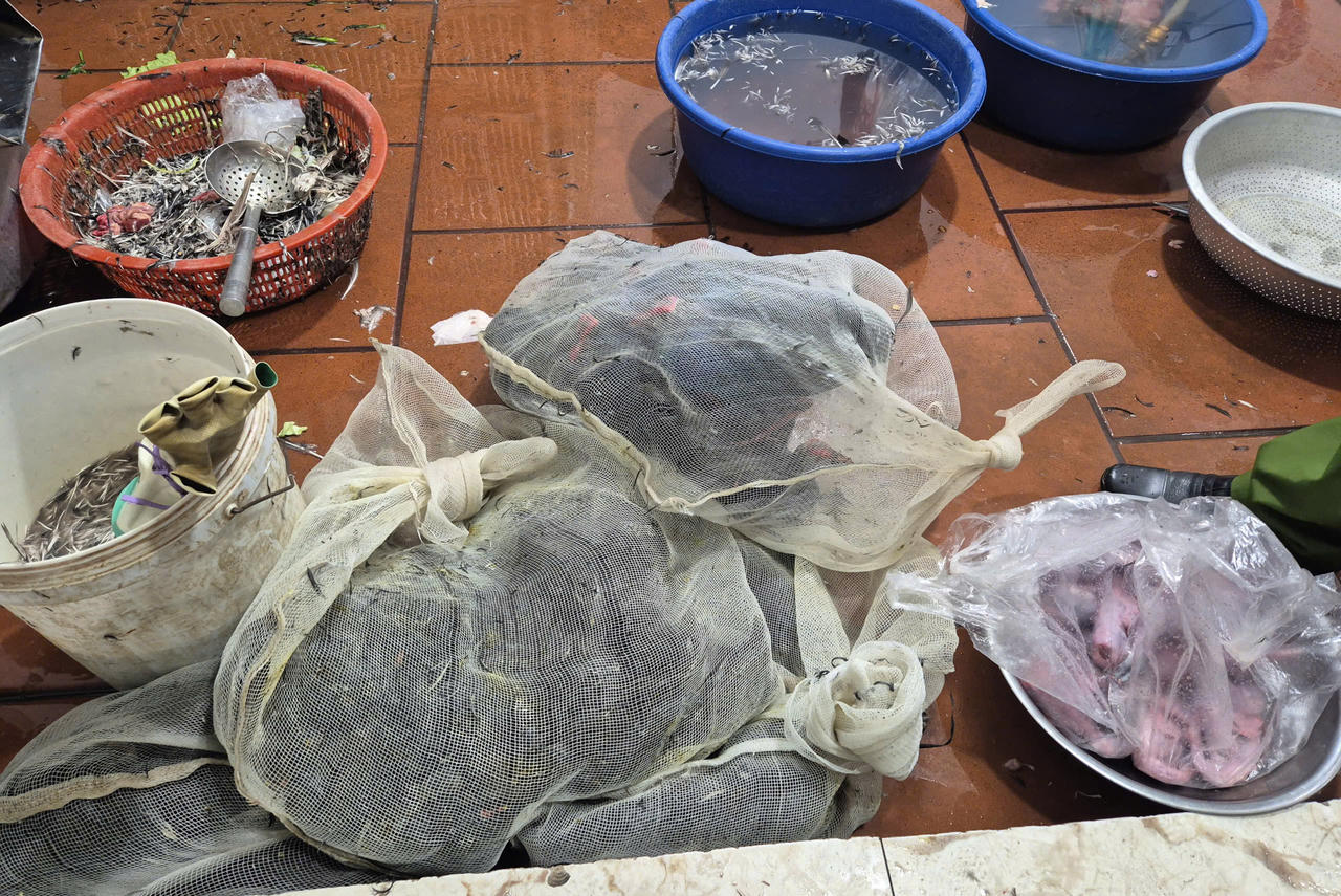 Nhiều loài chim hoang đang được nhốt trong các túi lưới.(Ảnh Báo Bắc Ninh)