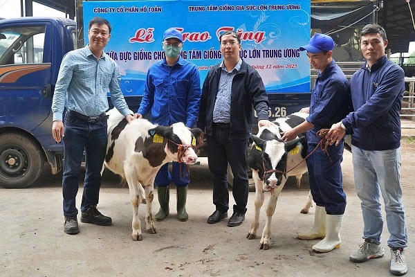 Chia sẻ nguồn gen bò sữa: Cách doanh nghiệp Việt góp lời giải cho bài toán giống