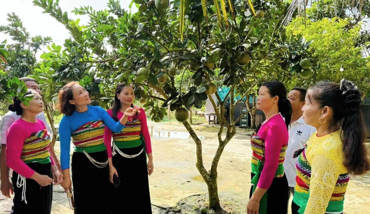 Các CLB không chỉ tổ chức văn hóa, văn nghệ, thể dục dưỡng sinh, mà còn triển khai các hoạt động thiết thực hỗ trợ sinh kế, tăng thu nhập cho người cao tuổi.. 