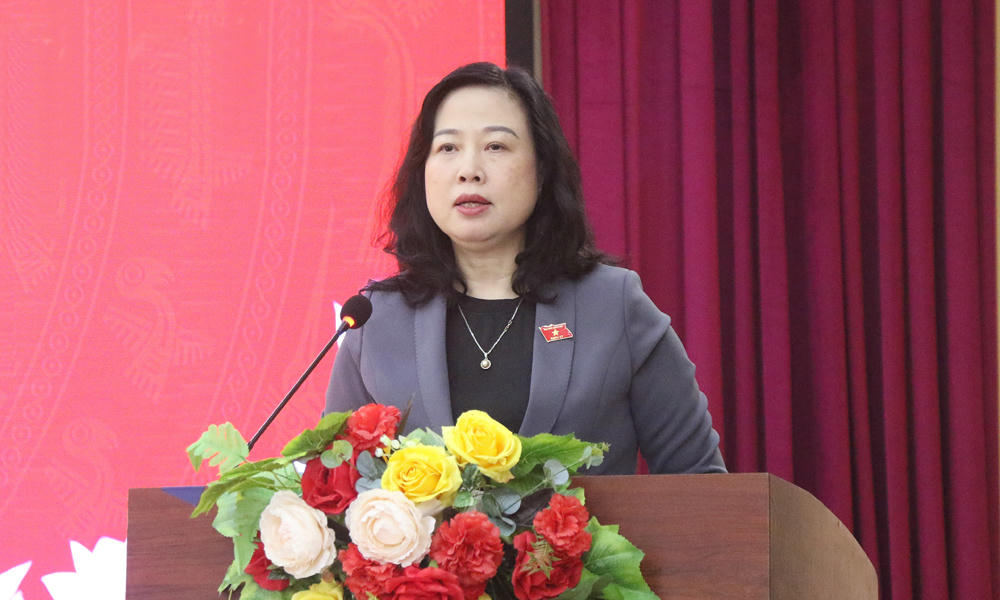 Bà Đào Hồng Lan, Bộ trưởng Bộ Y tế phát biểu tại buổi tiếp xúc cử tri phường Ninh Xá.