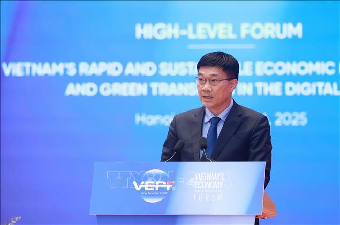 Phó Chủ tịch Quốc hội Vũ Hồng Thanh phát biểu. Ảnh: Dương Giang/TTXVN