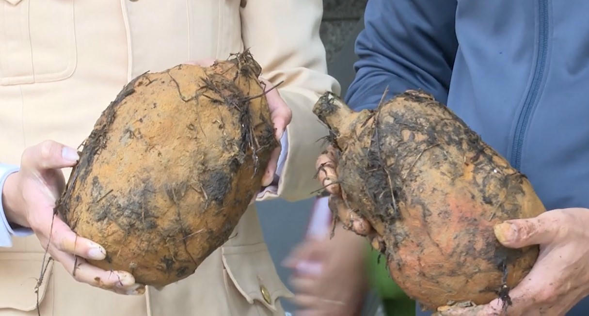 Nhiều vật liệu nổi nguy hiểm được vận động giao nộp.