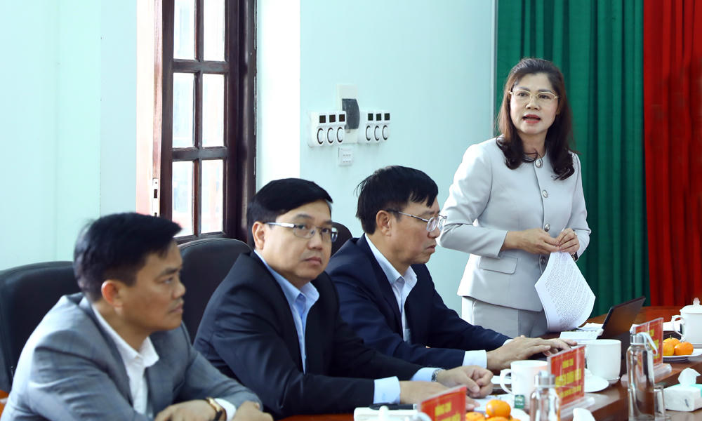 Phó Chủ tịch HĐND tỉnh Lâm Thị Hương Thành phát biểu tại buổi làm việc.