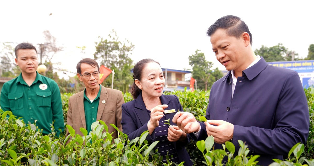 Xây dựng NTM tỉnh Thái Nguyên: Thành công tới từ những quyết sách đúng đắn của Đảng bộ và chính quyền các cấp