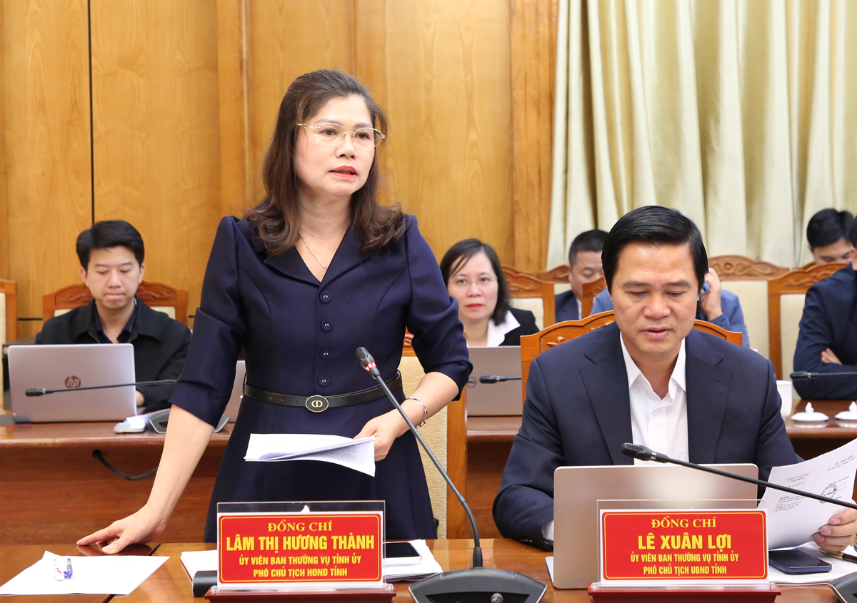 Phó Chủ tịch HĐND tỉnh Lâm Thị Hương Thành phát biểu tại hội nghị.