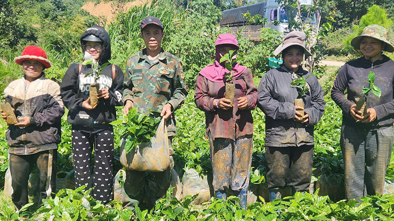 Xã Măng Ri (Quảng Ngãi): Tạo sinh kế bền vững cho người dân vùng cao