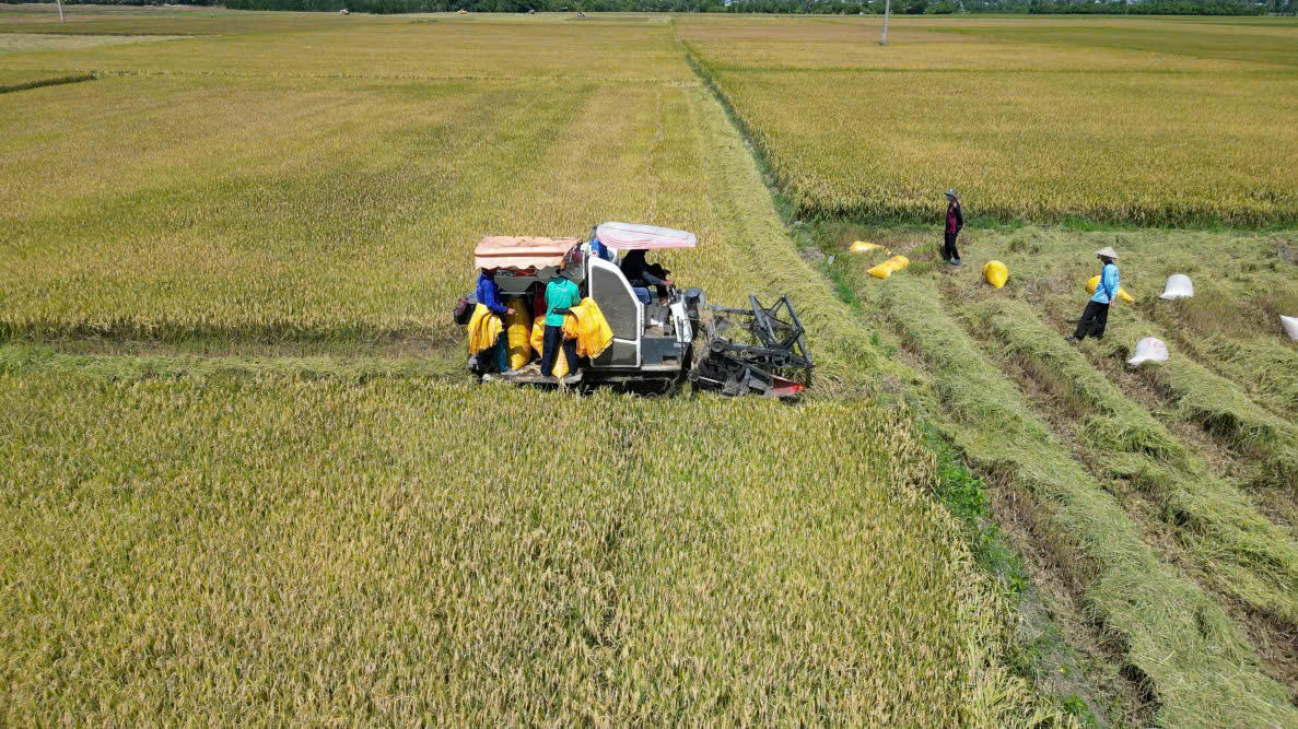 Dấu ấn cuộc hành trình 23 năm của tín dụng chính sách ở An Giang