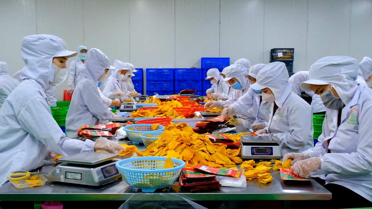 Bộ Tài chính đề xuất làm rõ thuế GTGT với nông sản sơ chế, 'gỡ vướng' hoàn thuế