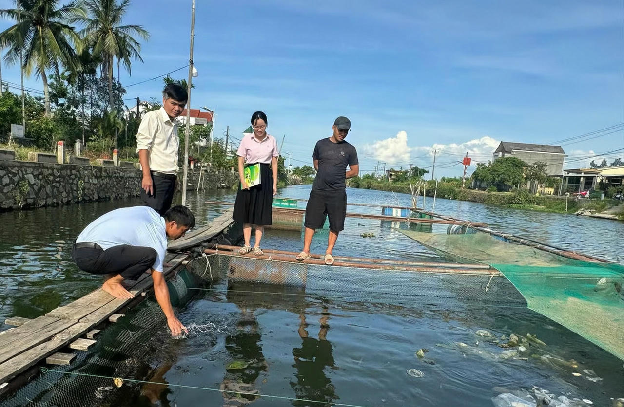 
Hàng nghìn hộ nghèo, hộ cận nghèo và gia đình chính sách đã được vay vốn để vượt khó, phát triển kinh tế.
