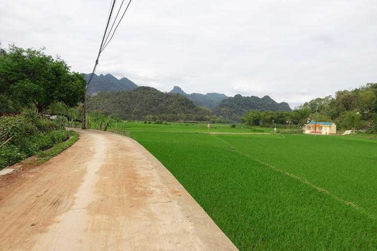 Công trình đường vào khu sản xuất Bản Nản - Pác Nghè được Dự án CSSP hỗ trợ đầu tư xây dựng. (Ảnh: BacKanOline)