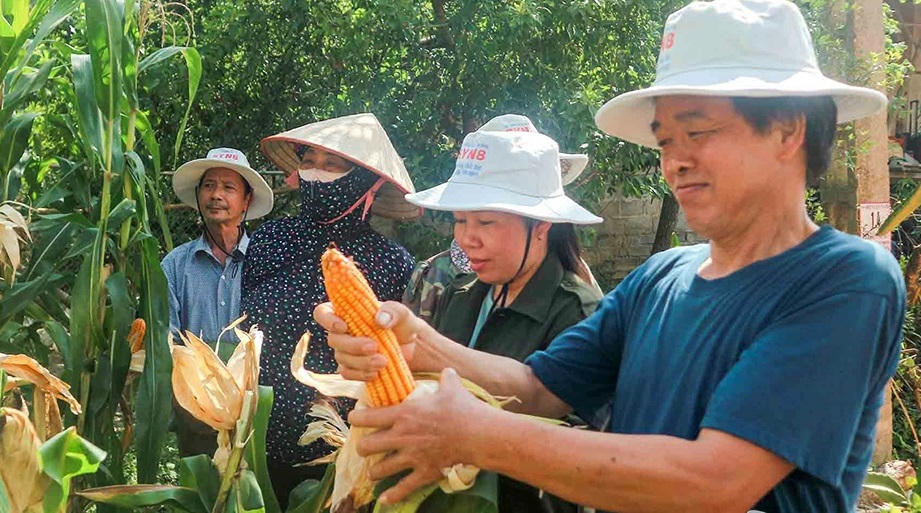Trong quá trình thực hiện chương trình xây dựng NTM, tỉnh Thái Nguyên mạnh dạn chỉ ra những hạn chế để tìm cách khắc phục. (Ảnh: Báo Thái Nguyên)
