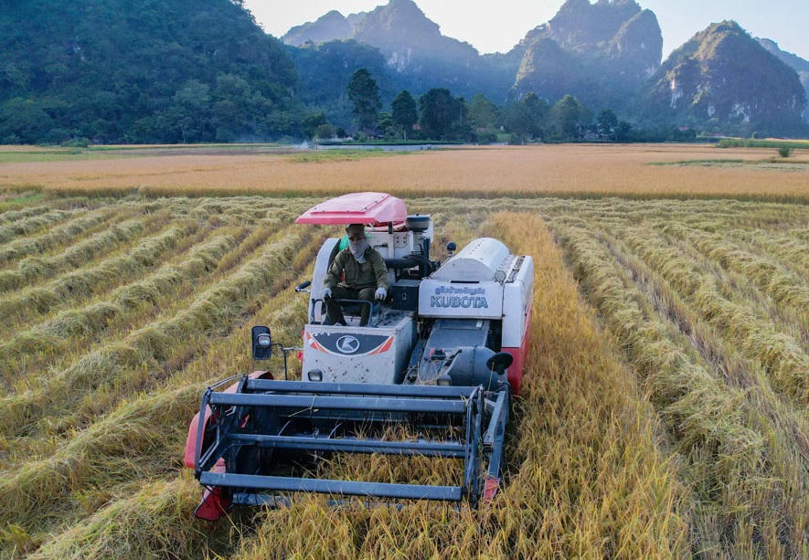 Thu hoạch lúa xuân trên cánh đồng xã Tràng Xá. (Ảnh: Báo Thái Nguyên)&nbsp;