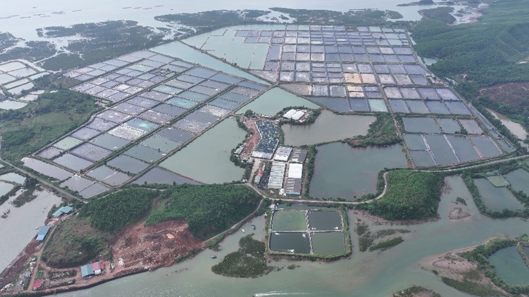 Dự án Trung tâm ương giống, nuôi trồng thủy sản công nghiệp kết hợp Nhà máy điện mặt trời Đầm Hà công suất 100MW. Ảnh BIM Energy.