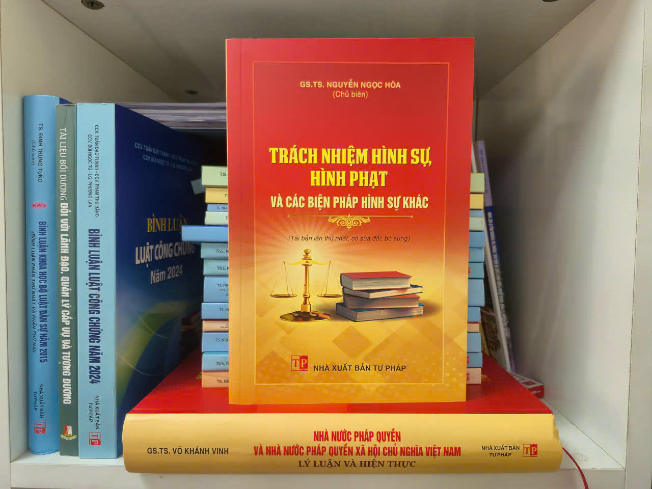Cuốn sách gồm nội dung lý luận về trách nhiệm hình sự cũng như nội dung quy định cụ thể về các biện pháp hình sự trong Bộ luật Hình sự của Việt Nam và một số quốc gia khác.