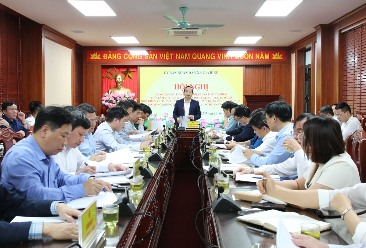 Dự án Cảng hàng không quốc tế Gia Bình là nhiệm vụ trọng tâm, ưu tiên của Bắc Ninh