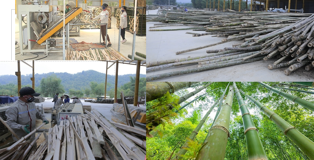 Thanh Hóa: Xã Linh Sơn thúc đẩy chuyển dịch cơ cấu kinh tế tạo cơ sở giảm nghèo 