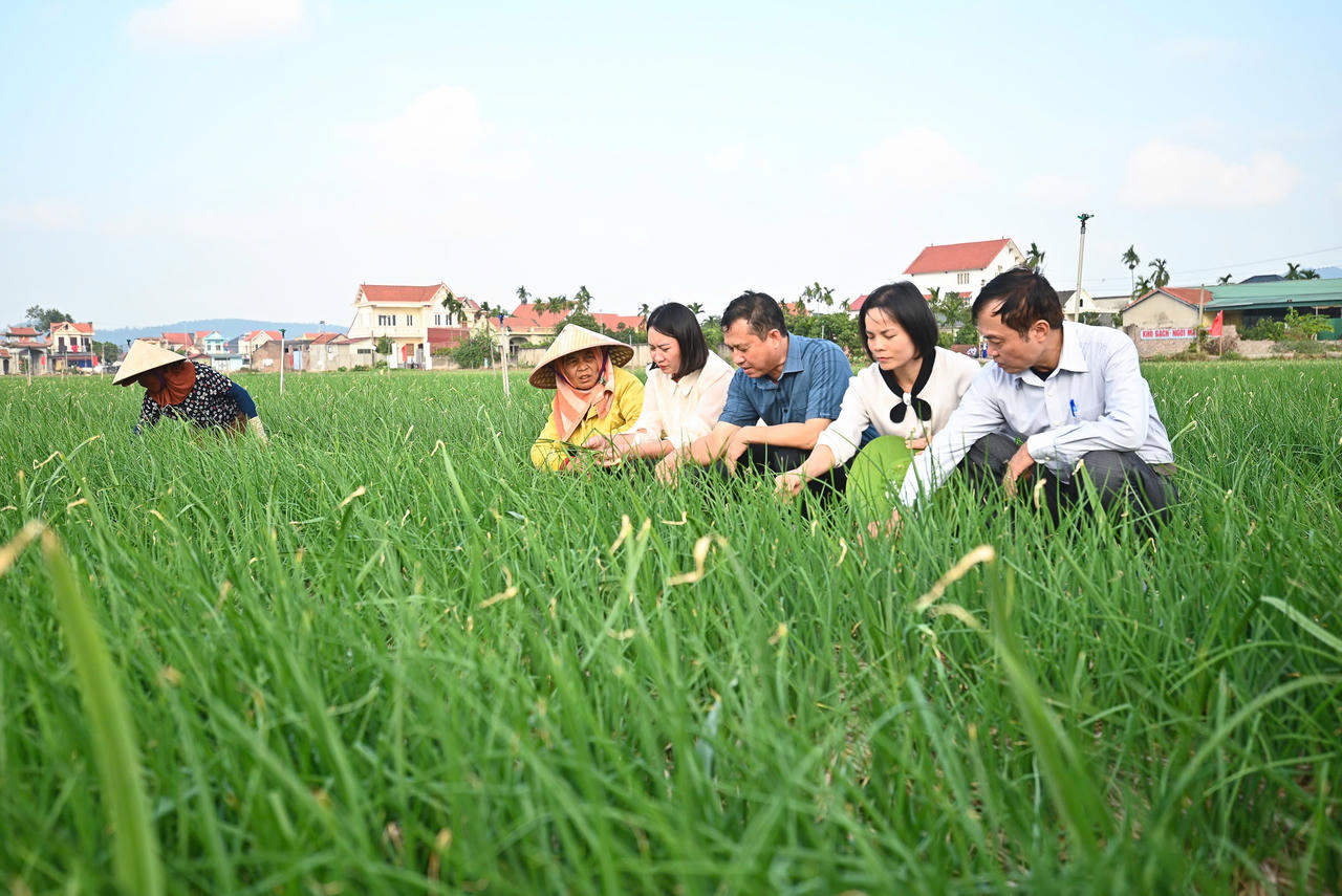 Hải Phòng: Phát huy lợi thế kép trong kết nối nông sản vùng Đồng bằng sông Hồng