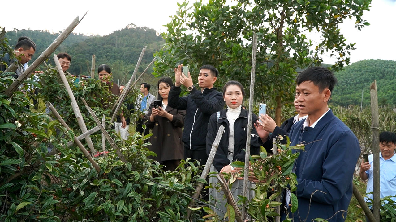 Đoàn công tác xã Linh Sơn học tập mô hình phát triển kinh tế tại tỉnh Quảng Ninh