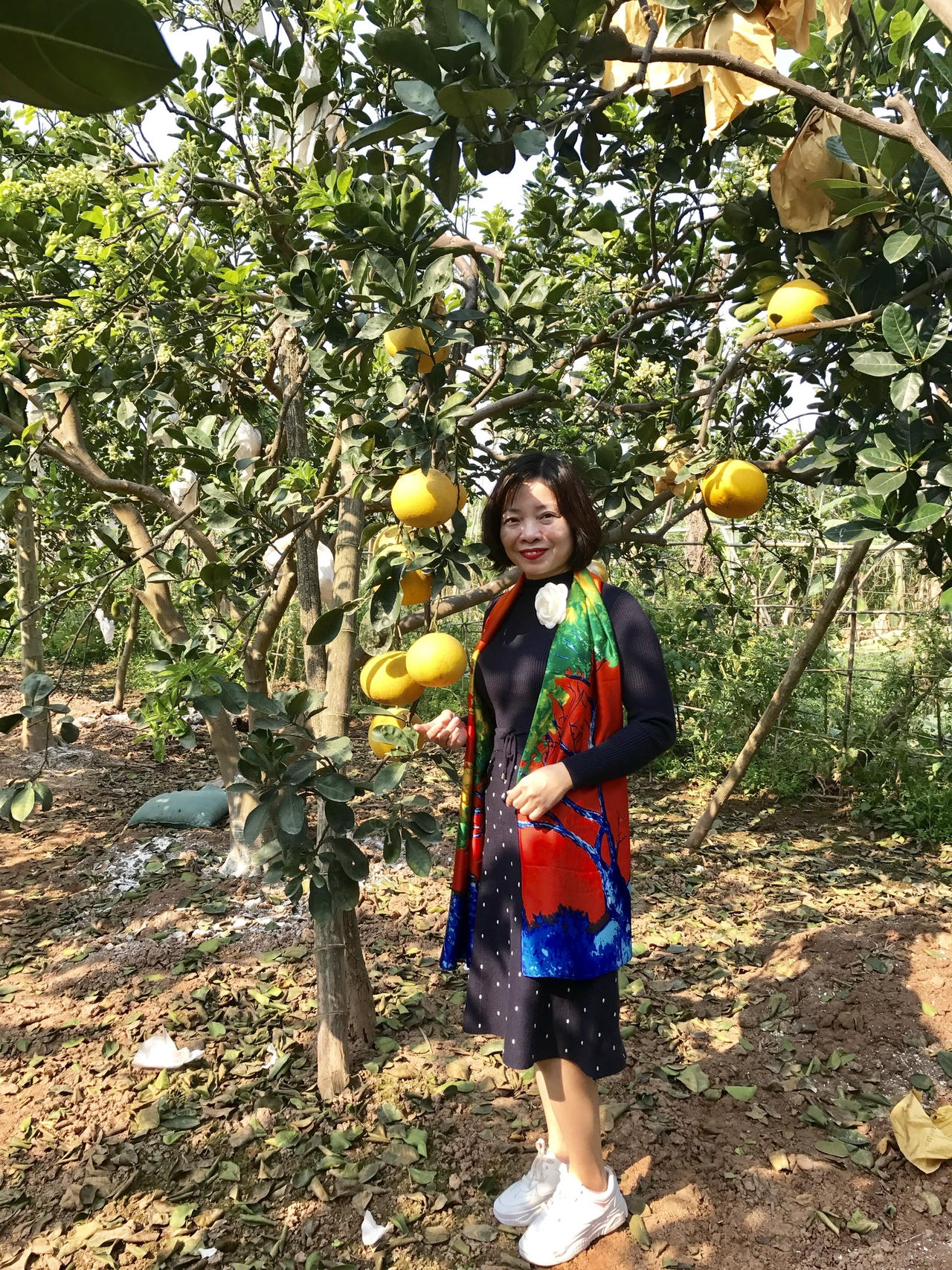 Du khách đến tham quan vùng bưởi Cát Quế, vừa mua được quà quý vừa chụp được những bức ảnh đẹp.&nbsp;