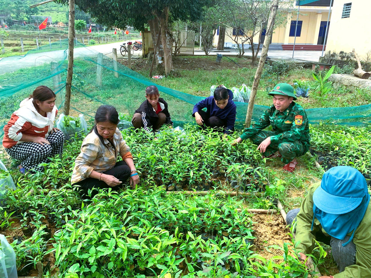 Thiếu tá Đoàn Văn Tiệp cùng người dân bản Rào Tre kiểm tra vườn cây gió trầm.