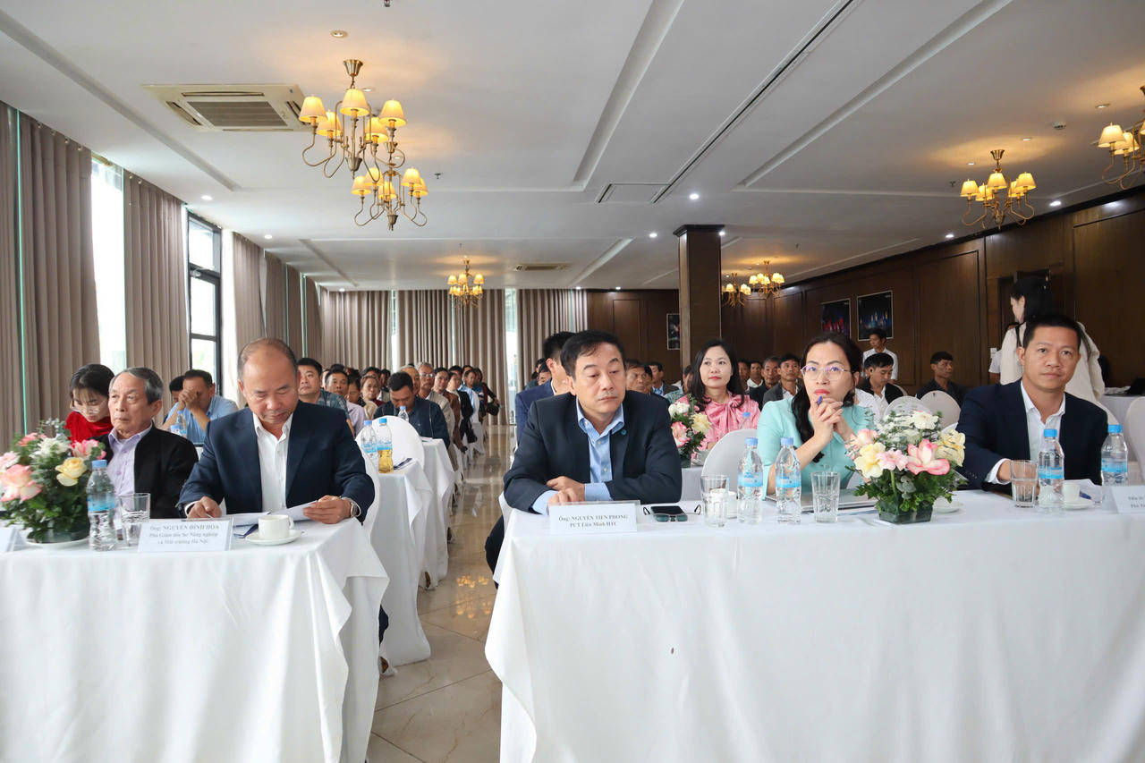 Các đại biểu dự Hội thảo