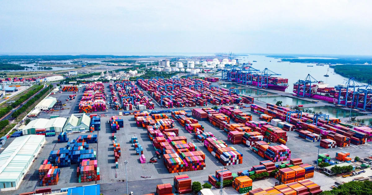 Động thái từ Bộ Công Thương khi gần 500 container chè Việt Nam bị ách tắc tại cảng Karachi 