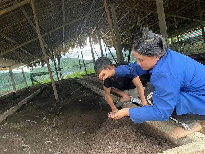 Mô hình nuôi Giun trùn Quế tại bản Cuông 2 xã Xuân Hoà
