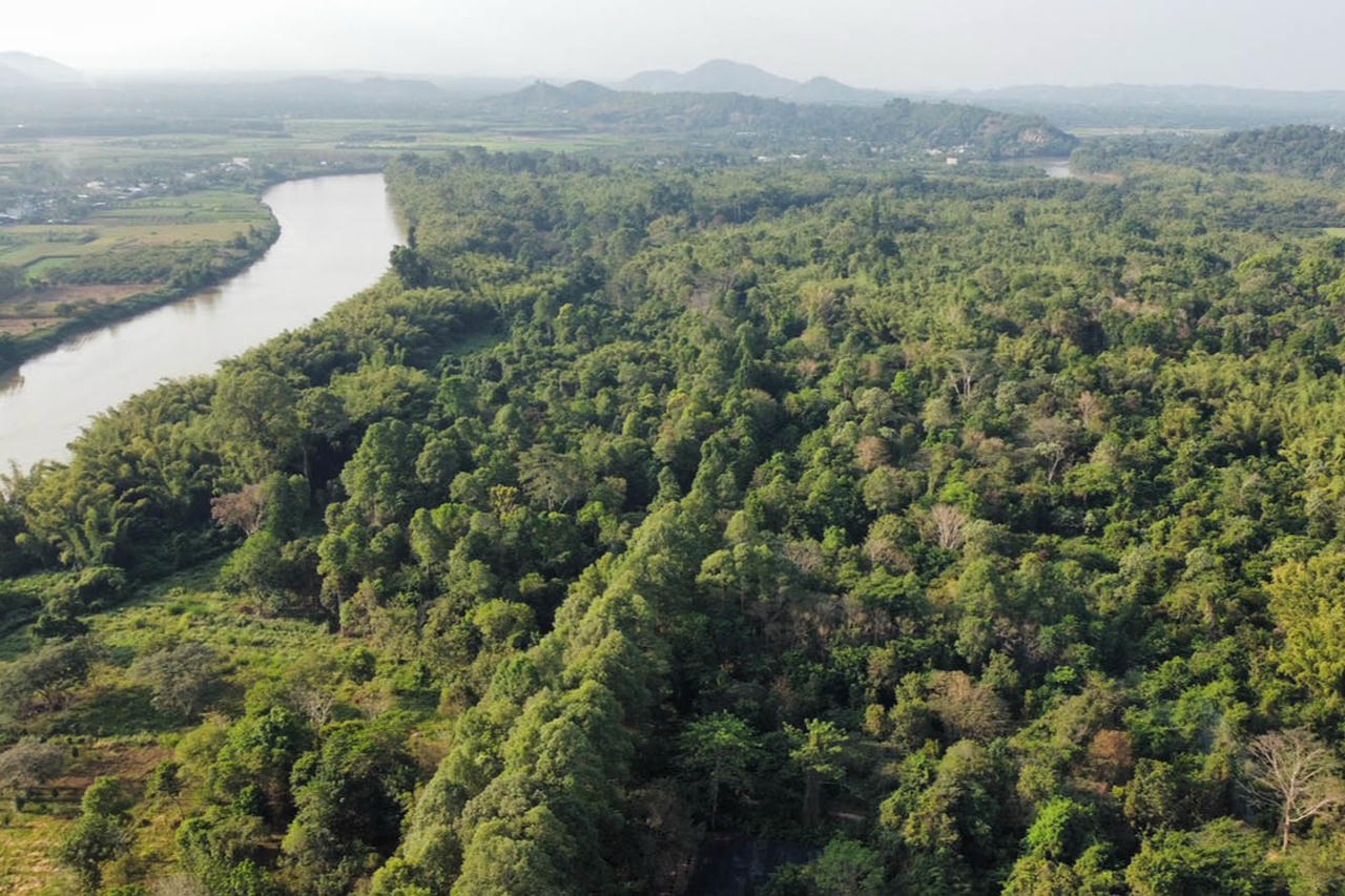 Hoàn thiện khung pháp lý để khai mở thị trường carbon rừng