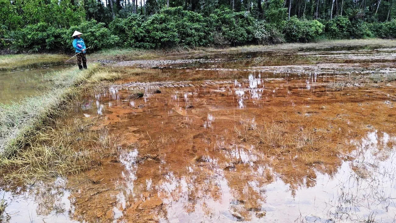 Tỉnh Quảng Ngãi yêu cầu làm rõ nguyên nhân, xử lý dứt điểm sự cố dầu tràn từ Phân kho 85/Kho 182 tại xã Vạn Tường.