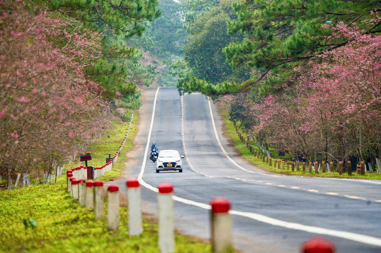 Tỉnh Quảng Ngãi chính thức khai mạc Tuần Di sản Văn hóa Quảng Ngãi năm 2025. 