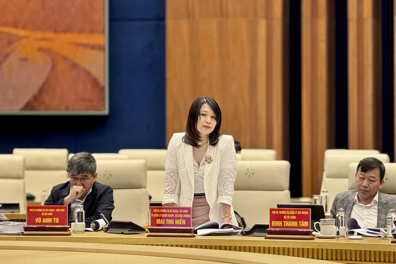 Phó Vụ trưởng Vụ Kế hoạch, Tài chính và Quản lý doanh nghiệp, Bộ Công Thương Mai Thu Hiền phát biểu tại phiên họp.