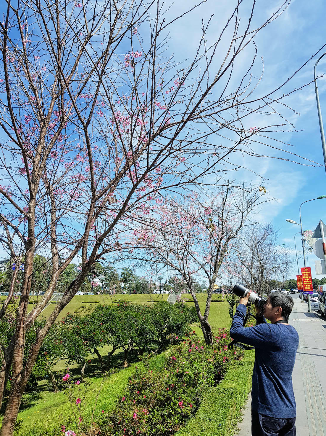 Đà Lạt với không khí se lạnh đặc trưng, cảnh vật thiên nhiên tươi đẹp thích hợp cho kỳ nghỉ đầu năm. 