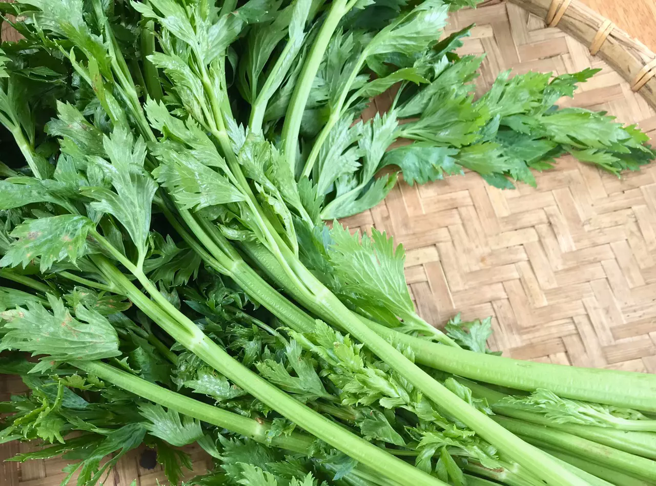 Cần Tây có nhiều nghiên cứu chứng minh hiệu quả hạ huyết áp ổn định và lâu dài