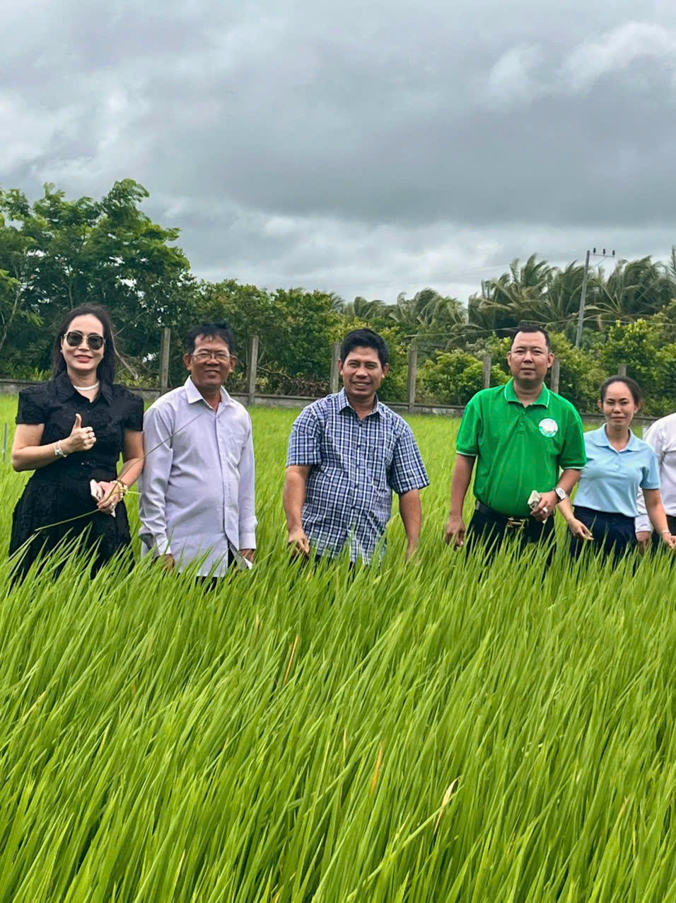 Toàn Cầu Group bứt phá với chiến lược nông nghiệp xanh và mục tiêu 100.000 ha lúa chất lượng cao